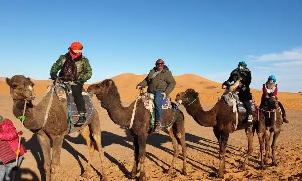 3-Day Desert Trip From Fez To Marrakech