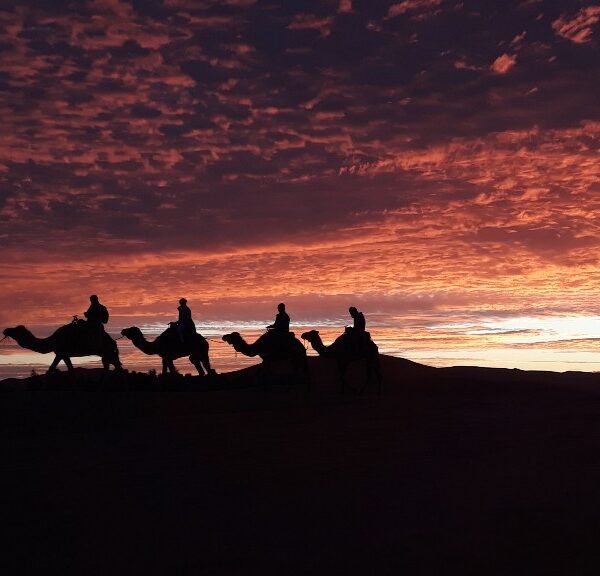 8-Day Desert trip From Tangier To Marrakech