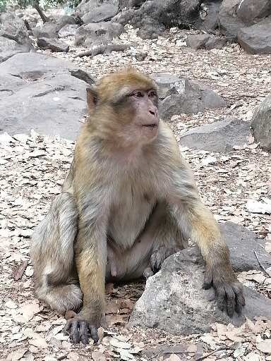 3-Day Desert Tour From Fez and back to Fez