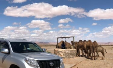 Private 10 Days Tour From Casablanca