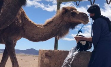 6-Day Desert Trip From Fez To Marrakech