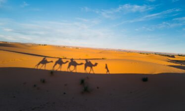 7 Days Desert Tour From Casablanca