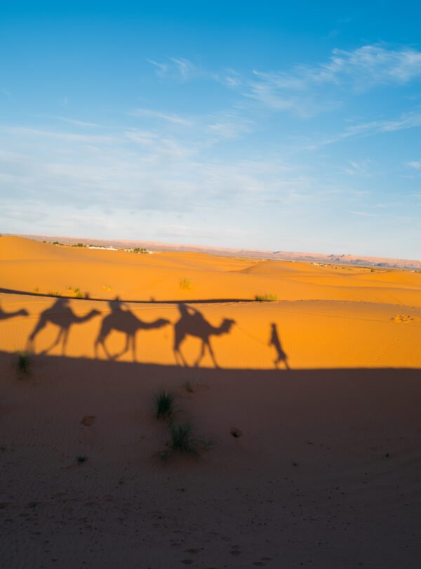 7 Days Desert Tour From Casablanca