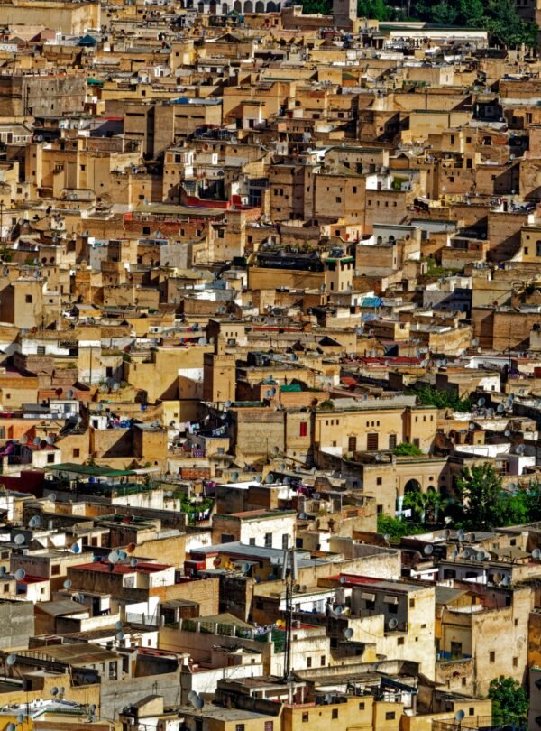 7 Days Desert Tour From Casablanca